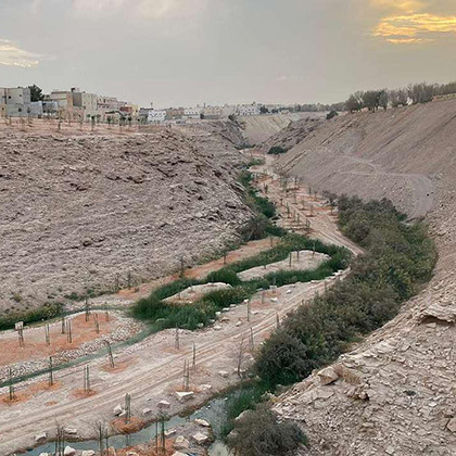 إعادة تأهيل المناظر الطبيعية بوادي أم القصر