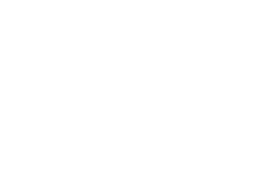 KSA Vision 2030